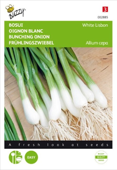 Spring onion White Lisbon (Allium cepa) 1000 seeds BU